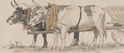 Zwei Ochsen ziehen einen Karren, 1874 von Peter Christian Thamsen Skovgaard
