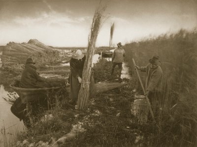 Während der Schilfernte, Leben und Landschaft auf den Norfolk Broads, ca. 1886 von Peter Emerson und Thomas Goodall