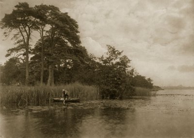 Das Versteck des Hechts, ca. 1886 von Peter Emerson und Thomas Goodall