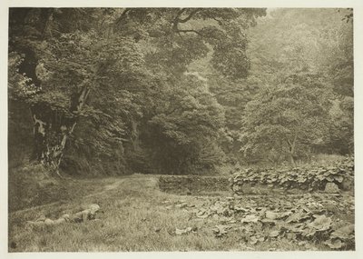 Eine ruhige Ecke in Beresford Dale von Peter Henry Emerson