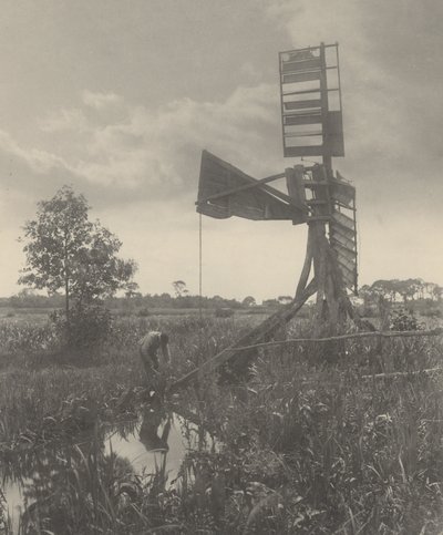 Eine zerstörte Wassermühle von Peter Henry Emerson