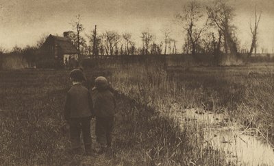 Eine Kröte auf dem Weg: Früher Frühling in Norfolk von Peter Henry Emerson