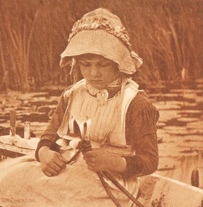 Blumen des Sees von Peter Henry Emerson