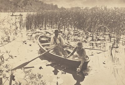 Seerosen sammeln von Peter Henry Emerson