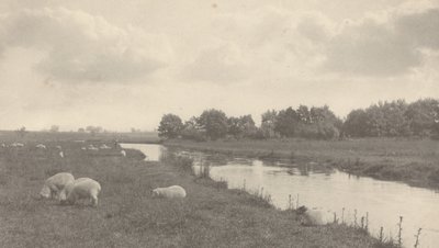 Am Fluss Bure von Peter Henry Emerson
