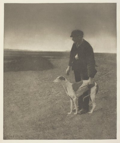 Der Wilderer - Ein Hase in Sicht, (Suffolk) von Peter Henry Emerson
