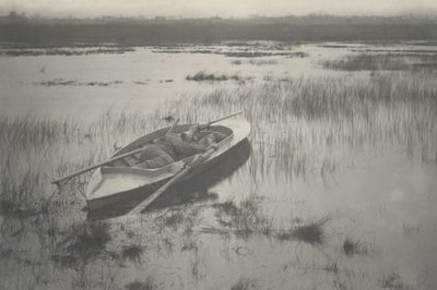 Schütze arbeitet sich zu Vögeln hoch von Peter Henry Emerson and T.F. Goodall