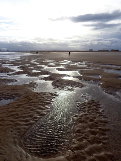 Niedrigwasser Hartlepool, 2016 von Peter McClure