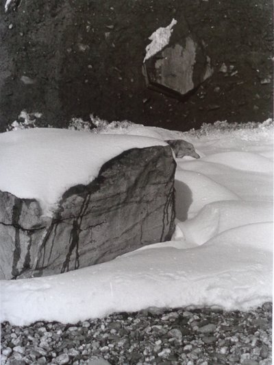 Vintage Schwarz-Weiß-Foto Nr. 3, 1985 von Peter McClure