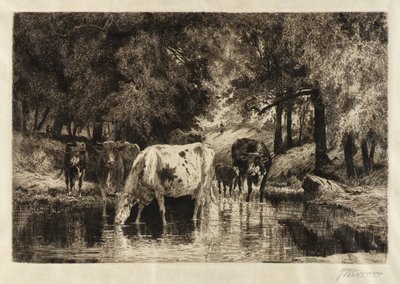 Der Pool von Peter Moran