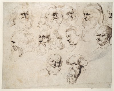 Sieben Studien des Kopfes eines älteren bärtigen Mannes, mit zwei weiteren von verschiedenen Männerköpfen und zwei von einer Frau, eine mit Mütze, ca. 1616 von Peter Paul Rubens