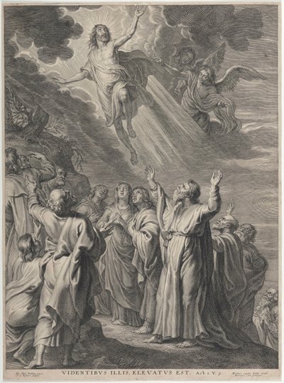 Die Himmelfahrt von Peter Paul Rubens