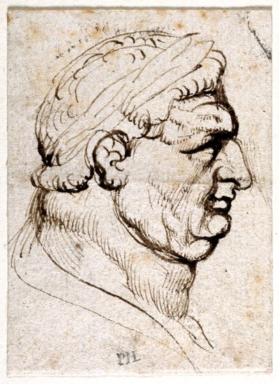 Vitellius, aus zehn Zeichnungen von acht der ersten zwölf Kaiser, nach den Medaillen von Giovanni da Cavino von Peter Paul Rubens