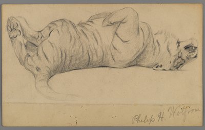 Schlafender Tiger von Philip H. Wolfrom