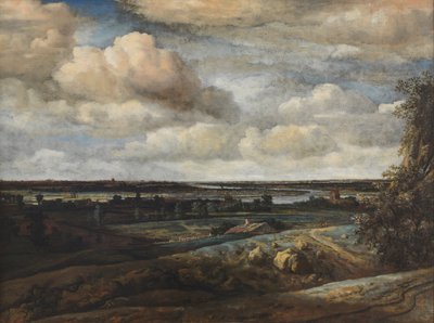 Niederländische Panoramalandschaft mit Fernblick auf Haarlem von Philips Koninck