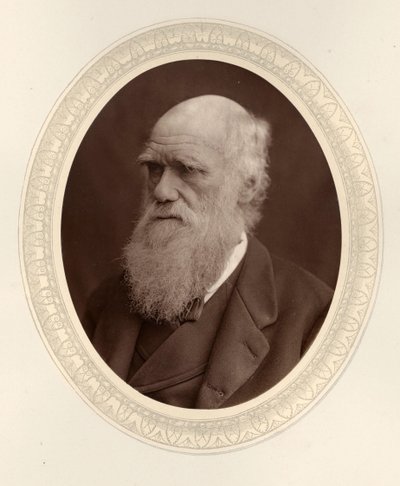 Porträt von Charles Darwin 1809-1882, 1877 von Photo studio Lock and Whitfield
