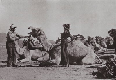 Kamelteams mit Aborigines in der Verantwortung versorgen abgelegene Posten in Zentralaustralien von Photographer Australian