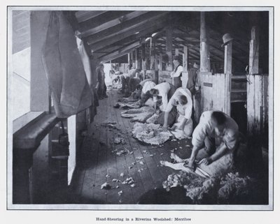 Handschur in einer Woolshed in Riverina, Merribee (s/w Foto) von Photographer Australian