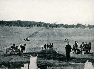 Lernen des Bohrens und Walzens am Dookie Agricultural College, Victoria, ca. 1900, aus 