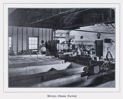 Moruya Käsefabrik von Photographer Australian
