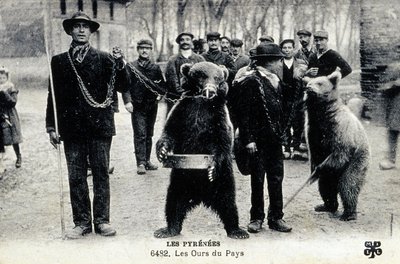 Bärenshows in den Pyrenäen, ca. 1900 von Photographer French