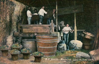 Weinpresse, Madeira, Portugal von Photographer Portuguese
