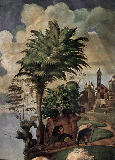 Jungfrau und Kind auf dem Thron, umgeben von Heiligen, (Detail) (circa 1493) von Piero di Cosimo