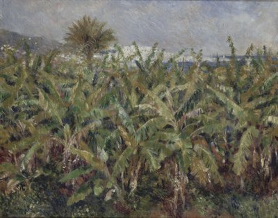 Bananenfeld von Pierre-Auguste Renoir