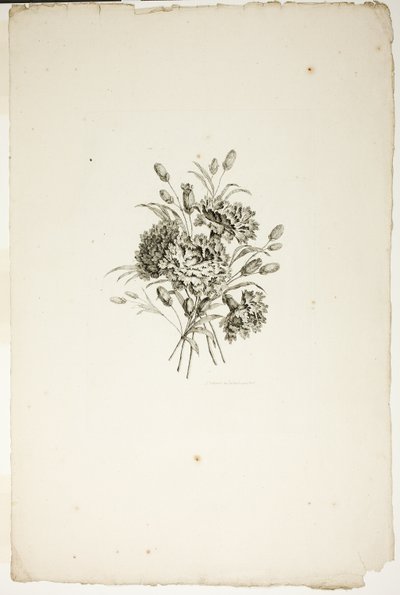 Blumenstrauß mit Nelken, aus der Sammlung verschiedener Blumensträuße, erfunden und gezeichnet von Jean Pillement und graviert von P. C. Canot von Pierre Charles Canot