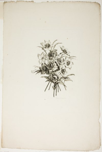 Blumenstrauß mit Narzissen, aus der Sammlung verschiedener Blumensträuße, erfunden und gezeichnet von Jean Pillement und graviert von P. C. Canot von Pierre Charles Canot