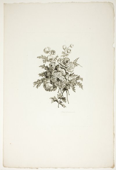 Blumenstrauß mit Pfingstrosen, aus Sammlung verschiedener Blumensträuße, erfunden und gezeichnet von Jean Pillement und graviert von P. C. Canot von Pierre Charles Canot