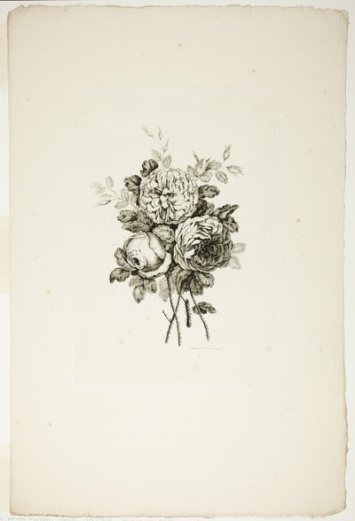 Blumenstrauß mit Rosen, aus Sammlung verschiedener Blumensträuße, erfunden und gezeichnet von Jean Pillement und graviert von P. C. Canot von Pierre Charles Canot