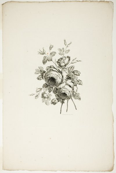 Blumenstrauß mit Rosen, aus der Sammlung verschiedener Blumensträuße, erfunden und gezeichnet von Jean Pillement und graviert von P. C. Canot von Pierre Charles Canot