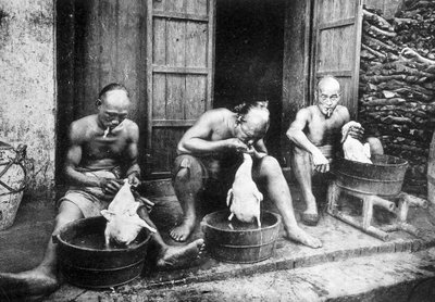 Chinesische Entenfedern, Saigon und seine Umgebung, Fotografie von Dieulefils, ca. 1900 von Pierre Dieulefils