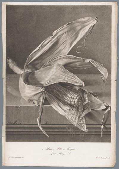 Mais von Pierre François Legrand