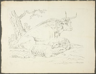 Ein Stier und zwei Schafe von Pierre Lelu