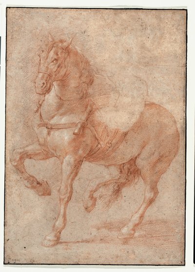 Studie von Bucephalus für das Relief "Alexander und Diogenes" von Pierre Puget