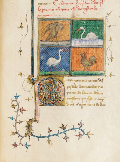 Seite aus "De Proprietatibus Rerum" von Bartholomeus Anglicus, in der französischen Übersetzung von Jean Corbechon, ca. 1390 von Pierre Remiet