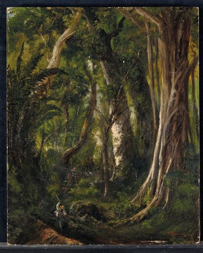 Reisende in einem kubanischen Wald von Pierre Toussaint Frédéric Mialhe