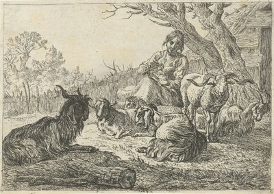 Hirtin inmitten von Ziegen und Schafen Verschiedene Tiere (Serientitel) von Pieter Bodding van Laer