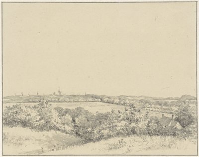Ansicht von Haarlem, von den Dünen aus gesehen von Pieter Ernst Hendrik Praetorius