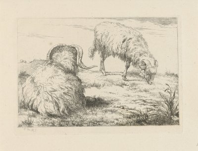 Zwei Widder auf der Weide von Pieter Gerardus van Os