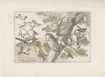 Eule und andere Vögel im Baum von Pieter Schenk (I) (attributed to)