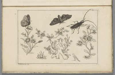 Drei Blütenzweige mit Vögeln, Schmetterlingen und einem Insekt von Pieter Schenk (II)