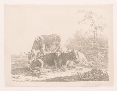 Drei Kühe auf einer Weide bei einem Zaun von Pieter de Goeje