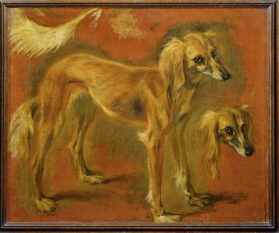Ein Windhund von Pieter or Peter Boel