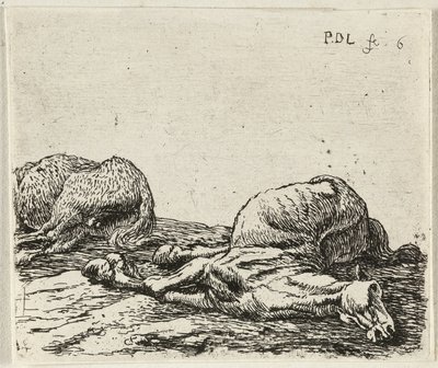 Zwei tote Pferde von Pieter van Laer