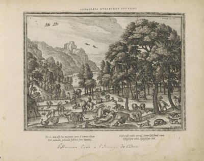 Schöpfung des Menschen von Pieter van der Borcht (I)