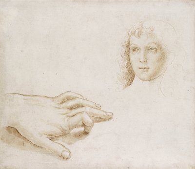 Studien eines Kopfes und einer Hand von Pietro (circle of) Perugino