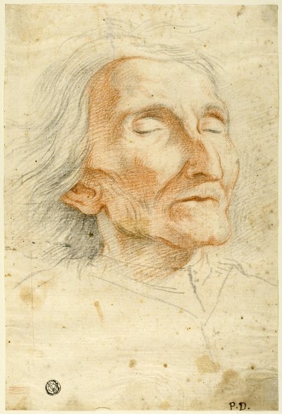 Gesicht eines alten Mannes mit geschlossenen Augen von Pietro Dandini